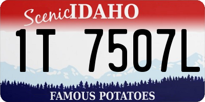 ID license plate 1T7507L