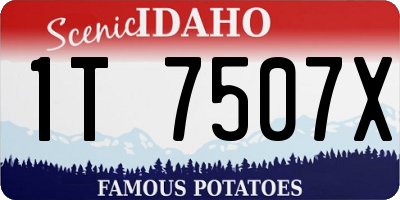 ID license plate 1T7507X