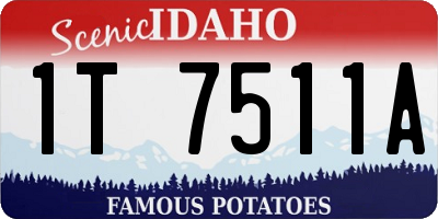 ID license plate 1T7511A