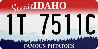 ID license plate 1T7511C