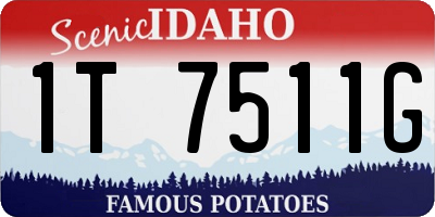 ID license plate 1T7511G