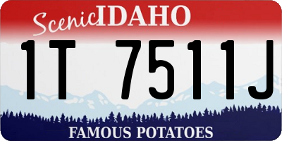 ID license plate 1T7511J