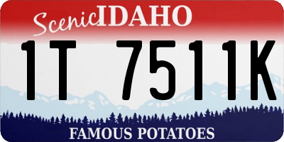ID license plate 1T7511K