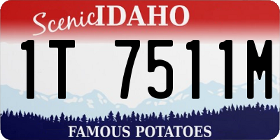 ID license plate 1T7511M