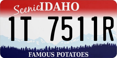 ID license plate 1T7511R