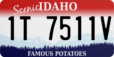 ID license plate 1T7511V