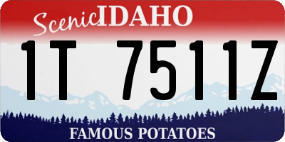 ID license plate 1T7511Z