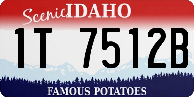 ID license plate 1T7512B
