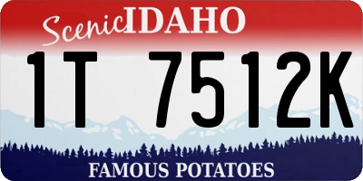 ID license plate 1T7512K