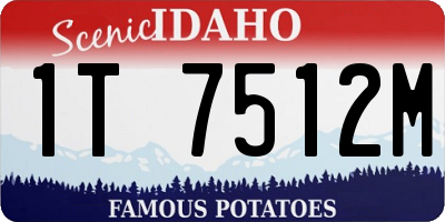 ID license plate 1T7512M