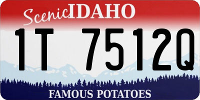 ID license plate 1T7512Q
