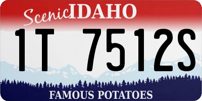 ID license plate 1T7512S