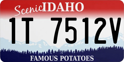 ID license plate 1T7512V