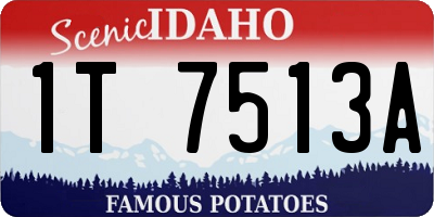ID license plate 1T7513A