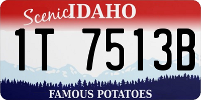 ID license plate 1T7513B