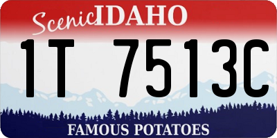 ID license plate 1T7513C
