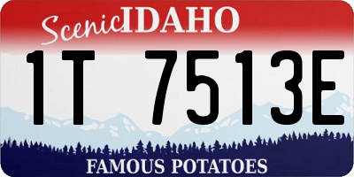 ID license plate 1T7513E