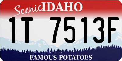 ID license plate 1T7513F