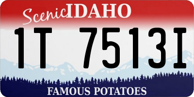 ID license plate 1T7513I