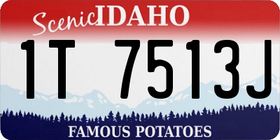 ID license plate 1T7513J
