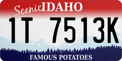 ID license plate 1T7513K