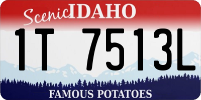 ID license plate 1T7513L