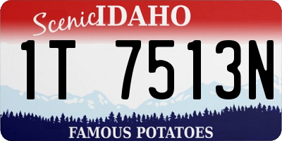 ID license plate 1T7513N