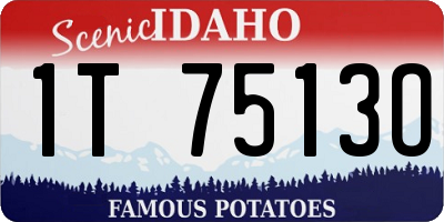 ID license plate 1T7513O