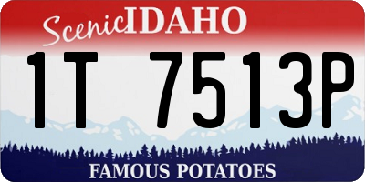 ID license plate 1T7513P