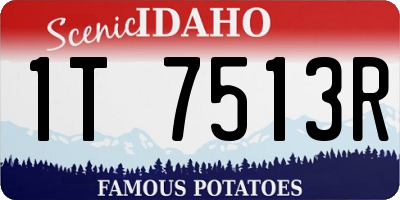 ID license plate 1T7513R