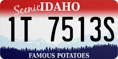 ID license plate 1T7513S