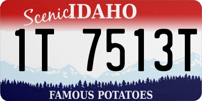 ID license plate 1T7513T