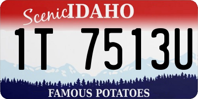 ID license plate 1T7513U