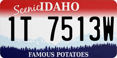 ID license plate 1T7513W