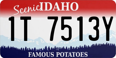 ID license plate 1T7513Y