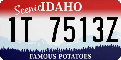 ID license plate 1T7513Z