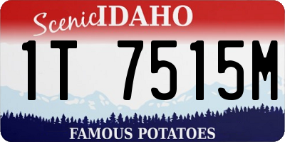 ID license plate 1T7515M