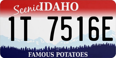 ID license plate 1T7516E