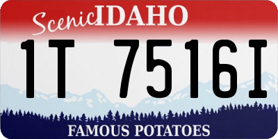 ID license plate 1T7516I
