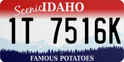 ID license plate 1T7516K