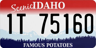 ID license plate 1T7516O