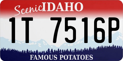 ID license plate 1T7516P