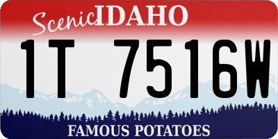 ID license plate 1T7516W