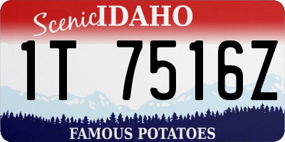 ID license plate 1T7516Z
