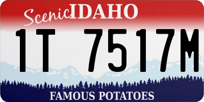 ID license plate 1T7517M
