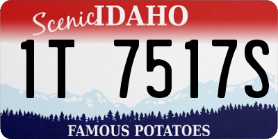 ID license plate 1T7517S