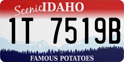 ID license plate 1T7519B