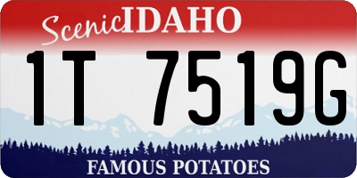 ID license plate 1T7519G