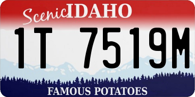 ID license plate 1T7519M