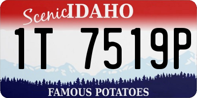 ID license plate 1T7519P